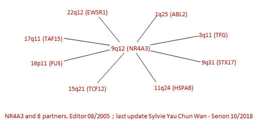 NR4A3 partners